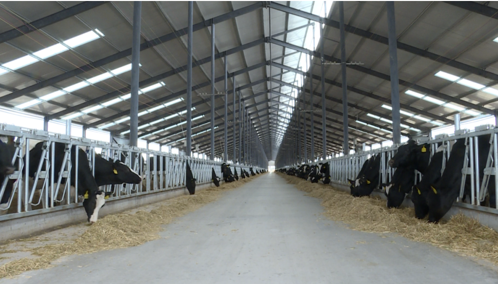 甘肃万头奶牛养殖循环产业园项目可行性研究报告