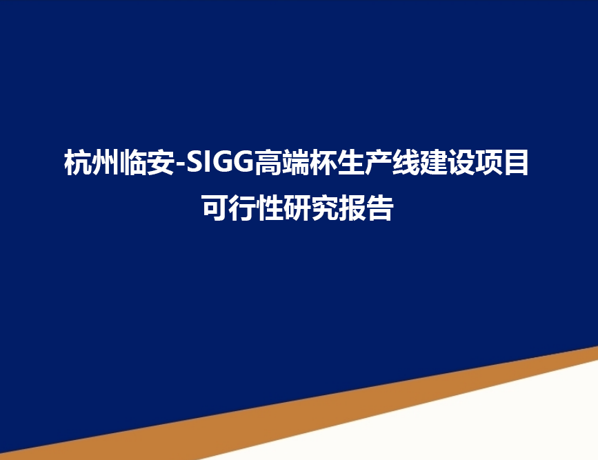 杭州临安-SIGG高端杯生产线建设项目可行性研究报告